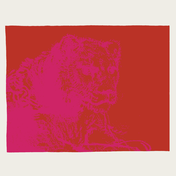 Bolero Lion Red-Pink